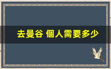 去曼谷 個人需要多少錢(去曼谷旅游要多少錢)